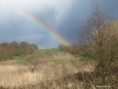 /album/my-local-birding-gallery/stormy-weather-over-the-reserve-jpg/